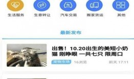 西华新闻爆料电话查询,揭秘本地热点事件，倾听民声心声