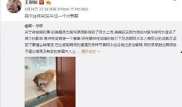 深圳表哥的最新爆料事件,揭秘背后惊人真相