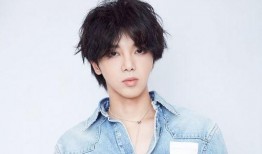 圈内爆料王悦伊是谁,王悦伊，娱乐圈的神秘新星