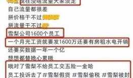 女保险员爆料视频大全集,女保险员爆料视频大全集深度解析